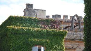 28 07 2011 Arrière du château à Castelnau