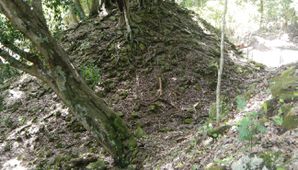 Ruines de Copan 065
