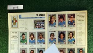 406936_panini-foto-afp_f.jpg
