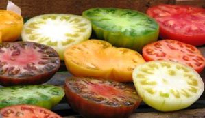 Tomates-coupees.jpg