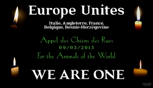 CHIENS-DES-RUES-vivisection-9-mars-2013.png