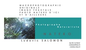 Nateko carte de visite photographe bleu