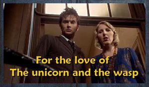 TheUnicornAndTheWasp