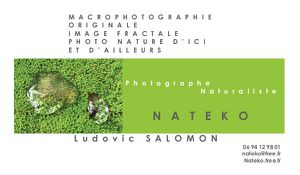 Nateko carte de visite photographe vert