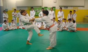 jujitsu jeunes ça marche