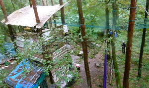 ZAD-foret.png