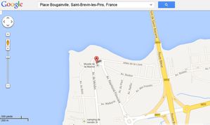 google-maps-place-bougainville.JPG