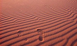 footprints-big