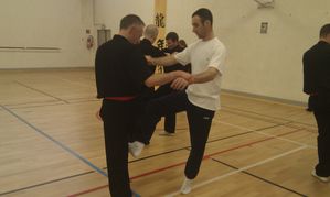 Wing Tsun 3
