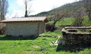 8-LERRUZ-1--800x600-.jpg