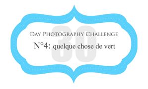 day 4
