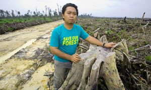 societe civile greenpeace zéro déforestation-copie-1