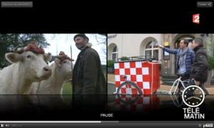 telematin-charollais-4-ok.jpg