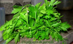 saumon au pesto de persil d'Albérie