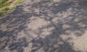 Foto0036-Kopie-1.jpg