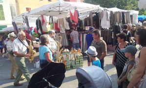 FOIRE AGRICOLE CONTES (3)