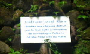 grand Rivière -piscine 021