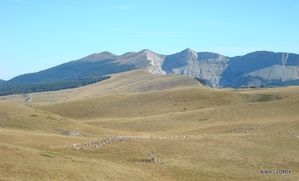 Le plateau d'Ambel