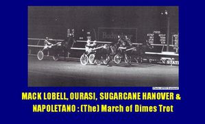 March-of-Dimes-Trot--The--suite-Mack-Lobell--Ourasi--Sugarc.jpg