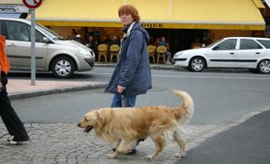 paimpol-11-copie-1.jpg