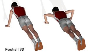 Exercices-PPG-pompes-3D.jpg
