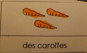 des carottes