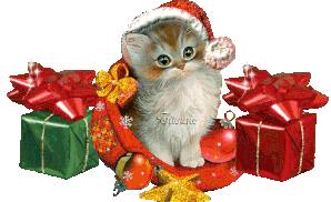 chat-pere-noel-2.gif