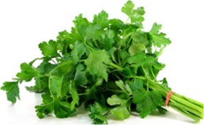 persil-plat---branches.png