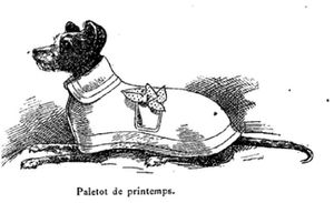 vetements-pour-chiens-1896-B.JPG