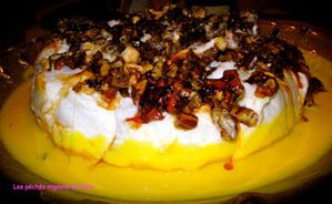 ile flottante-copie-1