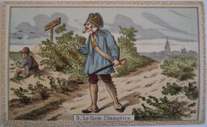 MD-percept--7-.JPG