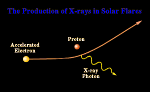 prodxray.gif