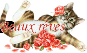 CHAT-REVE.gif