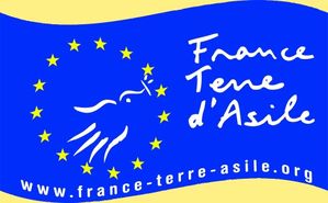 null societe civile france terre d'asile 00 art 1