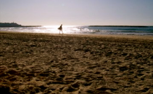 playa.png