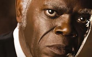Django Unchained - Stephen - Samuel L. Jackson