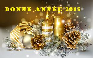 bonne-annee-2015__nhhxzy.jpg