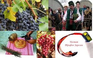 1-fete du vin Trifon Zarezan