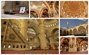edrine-turquie2
