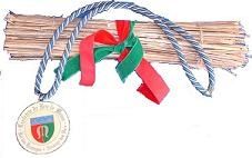 pailonlogo
