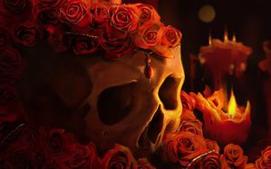 red-roses-skull.jpg