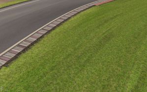 rfactor2_poznan_textures_20.jpg