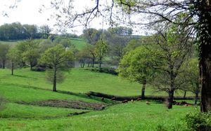 CAMPAGNE VERDOYANTE