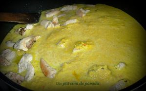 poulet-korma.2.jpg