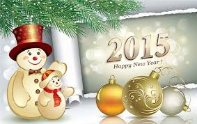 bonne année 2015