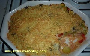 gratin criquette