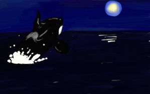 Orca-lune.jpg
