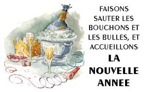 bonne-annee-019