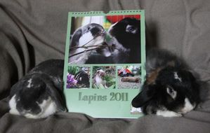 calendrier-couverture-03-b.jpg