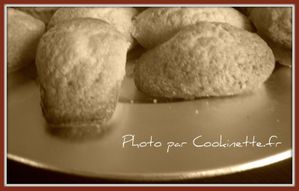 madeleines.jpg